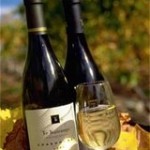 Vinhos: Nova Zelândia e África do Sul