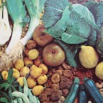 Alimentos Funcionais - Tabela