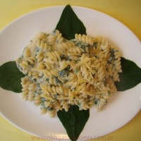 Macarrão Florentino