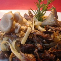 Fettuccine com Cabrito e Cogumelos