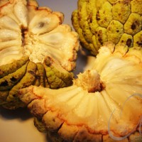 Fruta-do-Conde