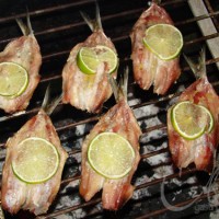 Sardinhas na Brasa