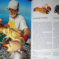 (Quase) Todas as comidas do mundo
