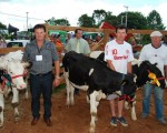 Vacas 3