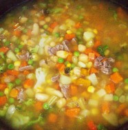 Sopa campeira