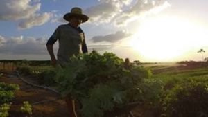 Documentário discute Ambiente Alimentar Brasileiro