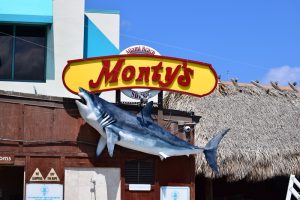 Monty’s  Raw Bar – Miami Beach Marina