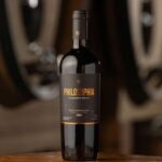 Vinícola Philosophia conquista cinco medalhas no CMB Brasil Selection 2025